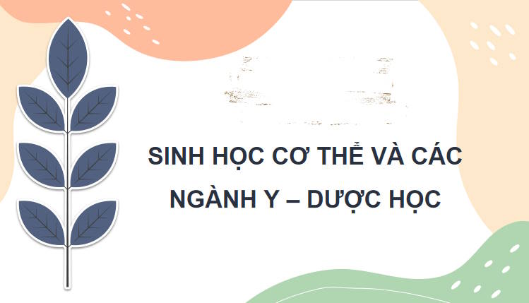 Giáo án PowerPoint Sinh học 11 Bài 29