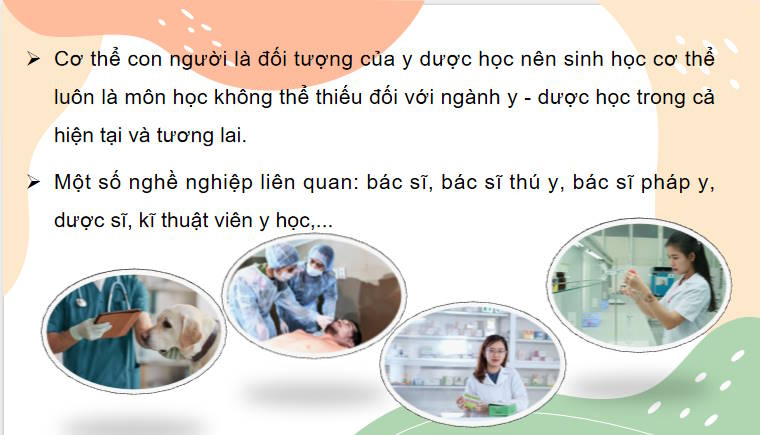 Giáo án PowerPoint Sinh học 11 Bài 29