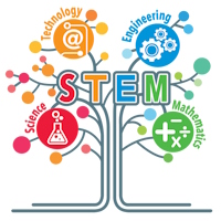 Đáp án bài khảo sát cuối khóa giáo dục STEM/STEAM