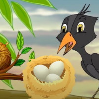 PowerPoint Tiếng Việt 2 Bài 4: Nghe - kể Loài chim học xây tổ