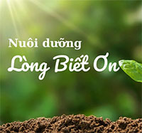 Giáo án Sinh hoạt lớp 5 Gia đình đầm ấm tuần 18