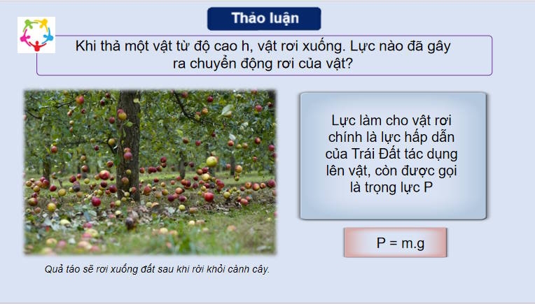 Giáo án PowerPoint Vật lí 10 Chân trời sáng tạo Bài 11