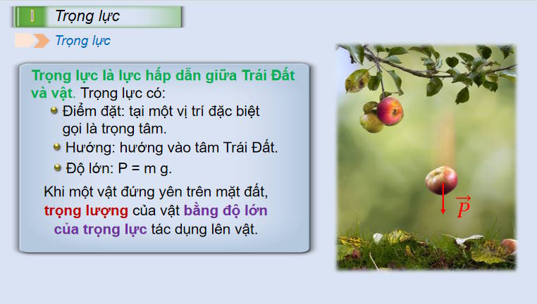Giáo án PowerPoint Vật lí 10 Chân trời sáng tạo Bài 11