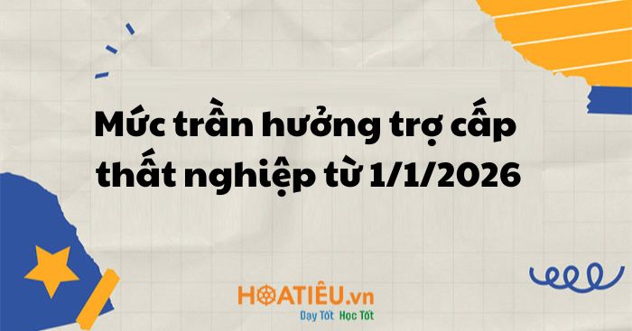 Mức trần hưởng trợ cấp thất nghiệp từ 1/1/2026
