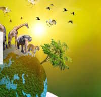 Giáo án Sinh hoạt lớp 5 Cảnh quan thiên nhiên quê hương, đất nước tuần 22