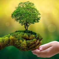 Giáo án Sinh hoạt lớp 5 Cảnh quan thiên nhiên quê hương, đất nước tuần 23