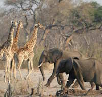 Giáo án Sinh hoạt lớp 5 Tự hào quê hương em tuần 31