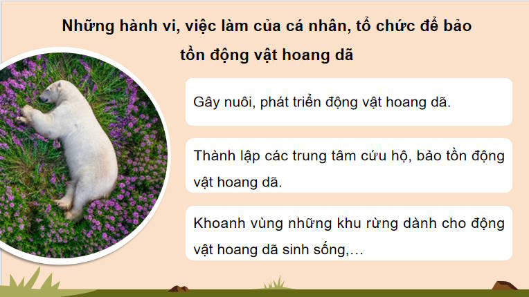 Giáo án PowerPoint Hoạt động trải nghiệm 12 Chủ đề 7