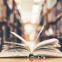 Phiếu bài tập cuối tuần lớp 4 môn Tiếng Việt Kết nối tri thức - Tuần 11 (Cơ bản + Nâng cao)