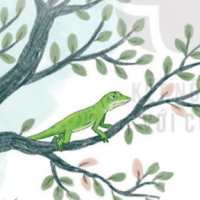 PowerPoint Tiếng Việt 4 Bài 5: Thằn lằn xanh và tắc kè