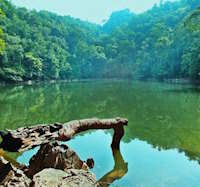 Giáo án Sinh hoạt dưới cờ lớp 5 Tự hào quê hương em tuần 29