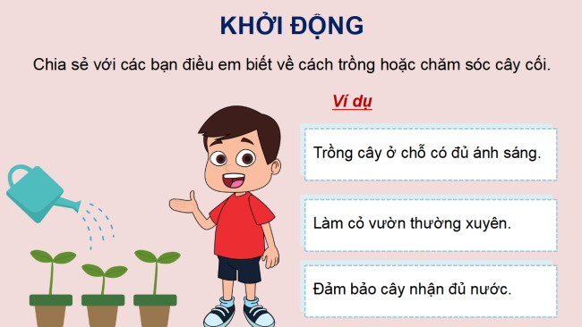 PowerPoint Tiếng Việt 4 Bài 10: Tiếng nói của cỏ cây