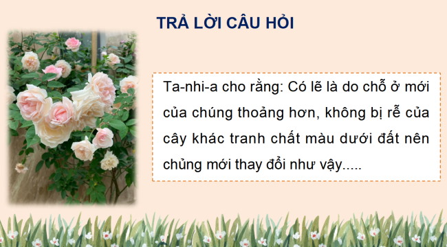 PowerPoint Tiếng Việt 4 Bài 11: Tập làm văn