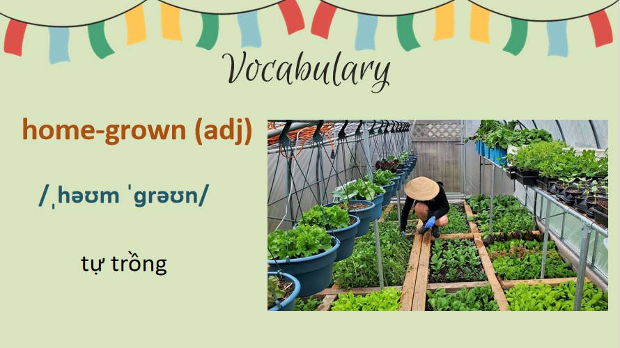 PowerPoint Tiếng Anh 8 Unit 8: Getting Started