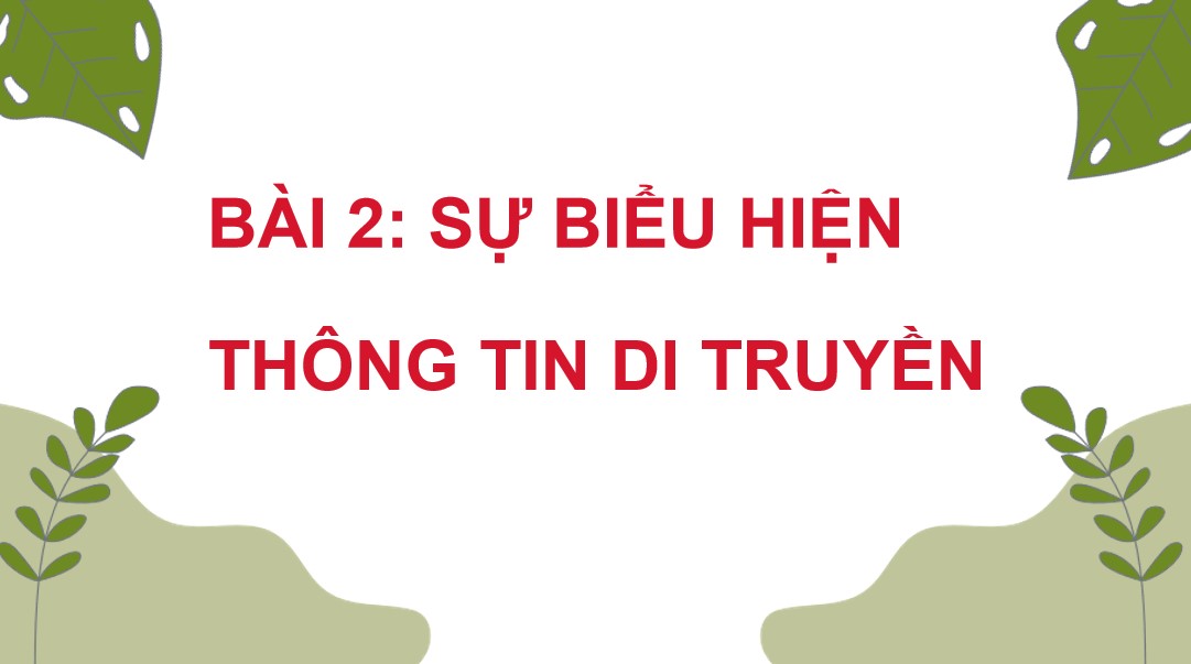 Powerpoint Sinh 12 Cánh Diều Bài 2