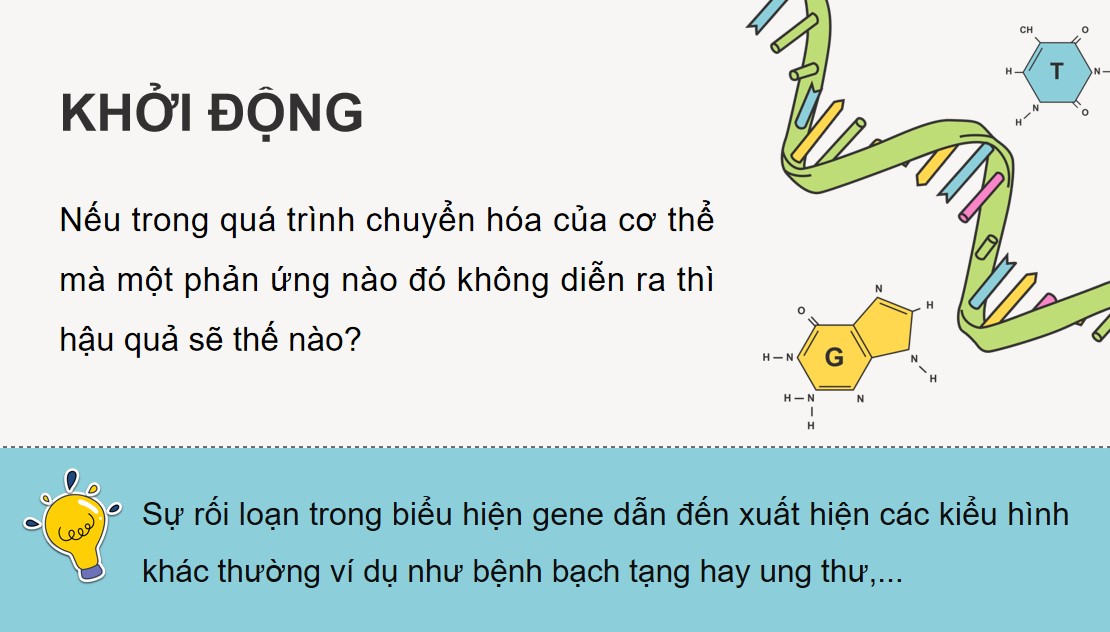 Powerpoint Sinh 12 Cánh Diều Bài 3