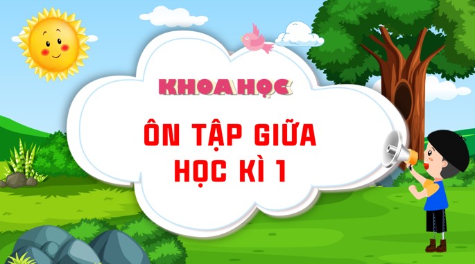 PPT Khoa học 4 Tuần 10: Ôn tập đánh giá giữa HK1