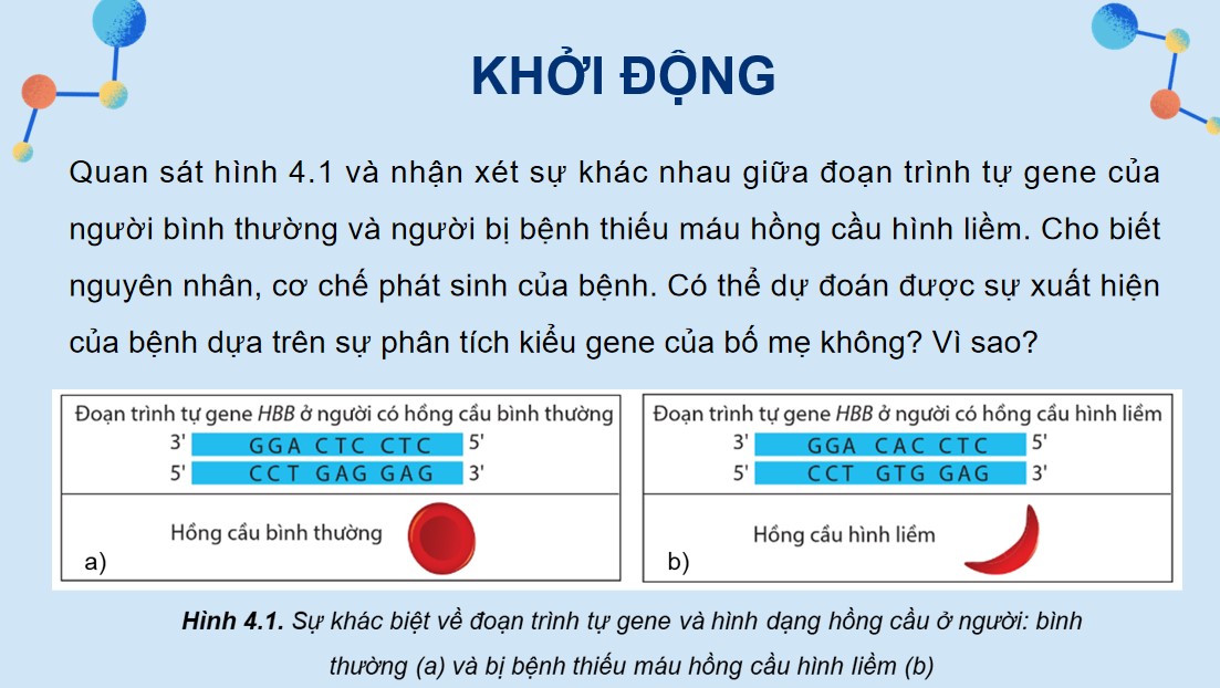 Powerpoint Sinh 12 Cánh Diều Bài 4