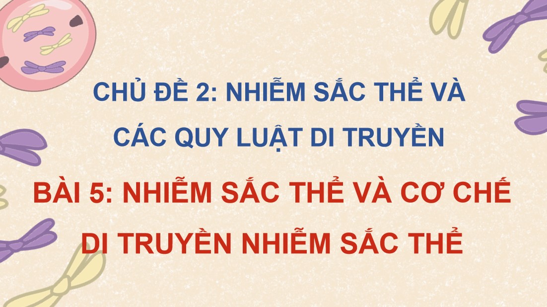 Powerpoint Sinh 12 Cánh Diều Bài 5