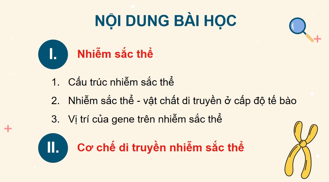 Powerpoint Sinh 12 Cánh Diều Bài 5