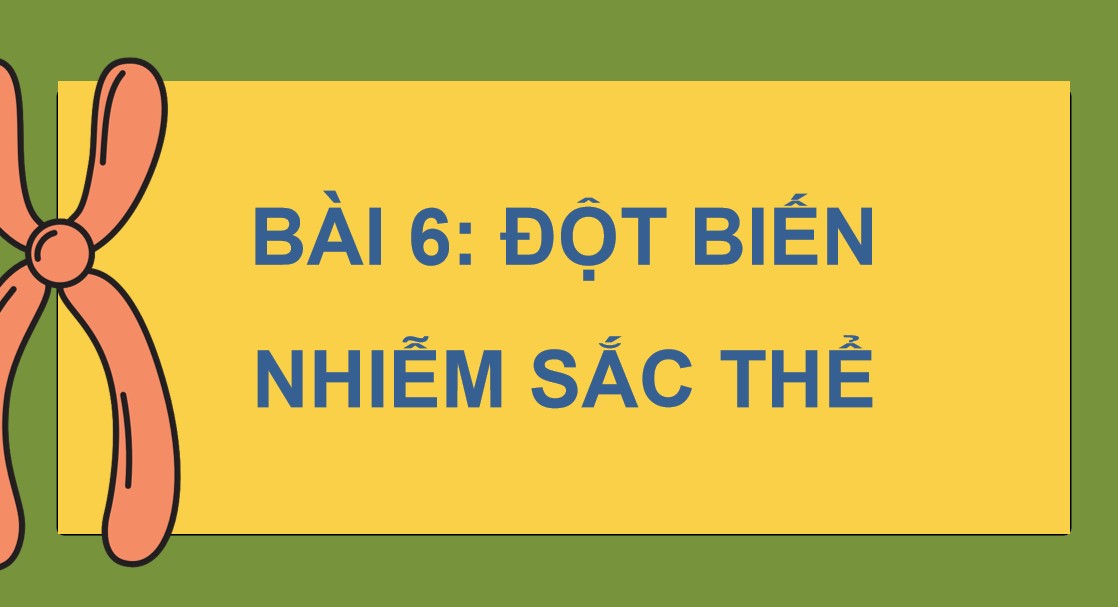 Powerpoint Sinh 12 Cánh Diều Bài 6