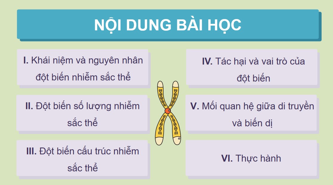 Powerpoint Sinh 12 Cánh Diều Bài 6