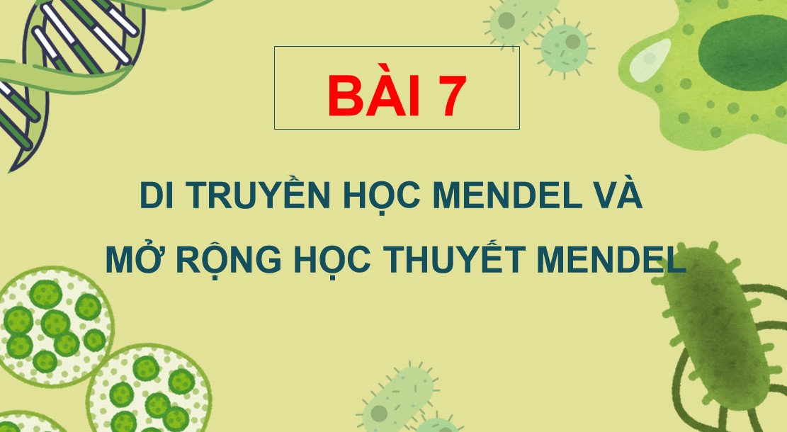 Powerpoint Sinh 12 Cánh Diều Bài 7