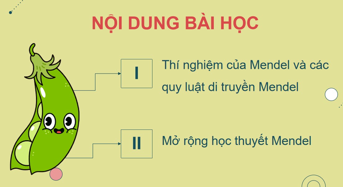 Powerpoint Sinh 12 Cánh Diều Bài 7