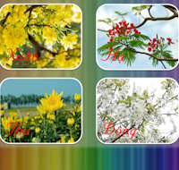 Trò chơi PowerPoint Thử tài hiểu biết