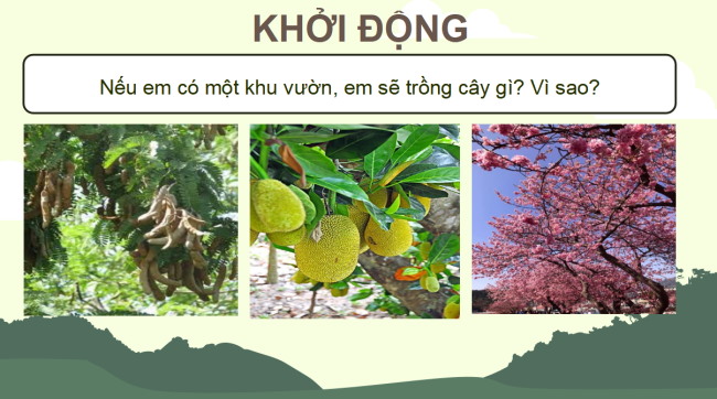 PowerPoint Tiếng Việt 4 Bài 27: Nếu em có một khu vườn