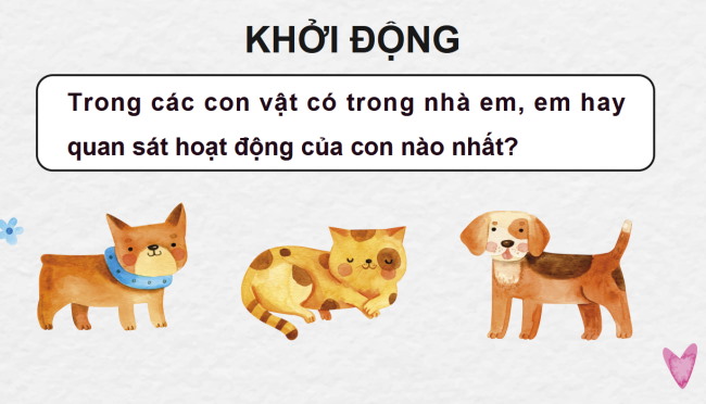 PowerPoint Tiếng Việt 4 Bài 28: Lập dàn ý cho bài văn miêu tả con vật