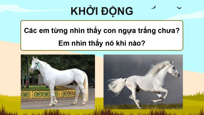 PowerPoint Tiếng Việt 4 Bài 30: Kể chuyện Đôi cánh của Ngựa trắng