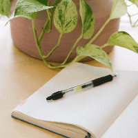 Phiếu bài tập cuối tuần lớp 4 môn Tiếng Việt Chân trời sáng tạo - Tuần 12 (Cơ bản + Nâng cao)