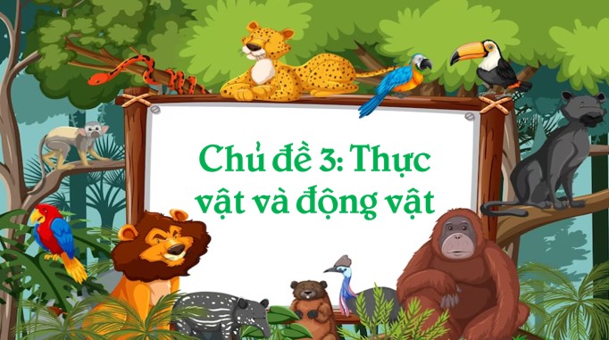 PPT Khoa học 4 Bài 15: Thực vật cần gì để sống?