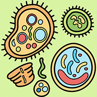 PowerPoint Sinh học 12 Bài 10: Mối quan hệ giữa kiểu gene, môi trường và kiểu hình