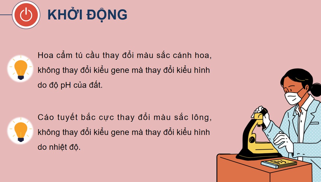 Powerpoint Sinh 12 Cánh Diều Bài 10