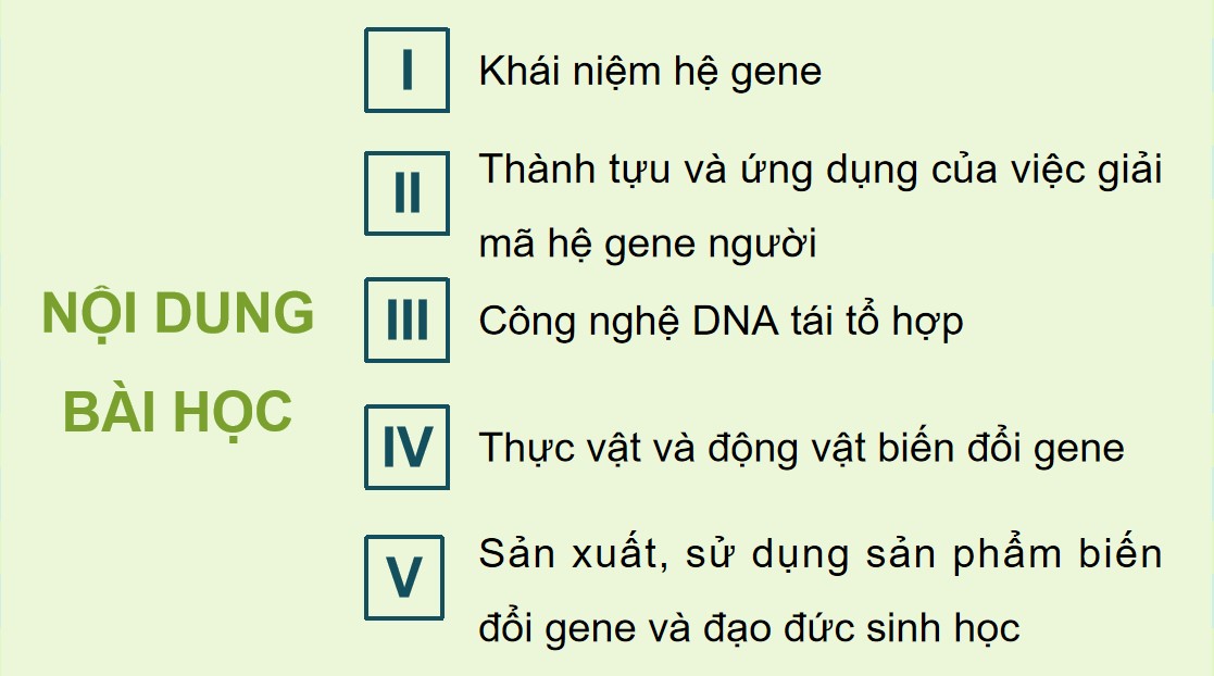 Powerpoint Sinh 12 Cánh Diều Bài 11