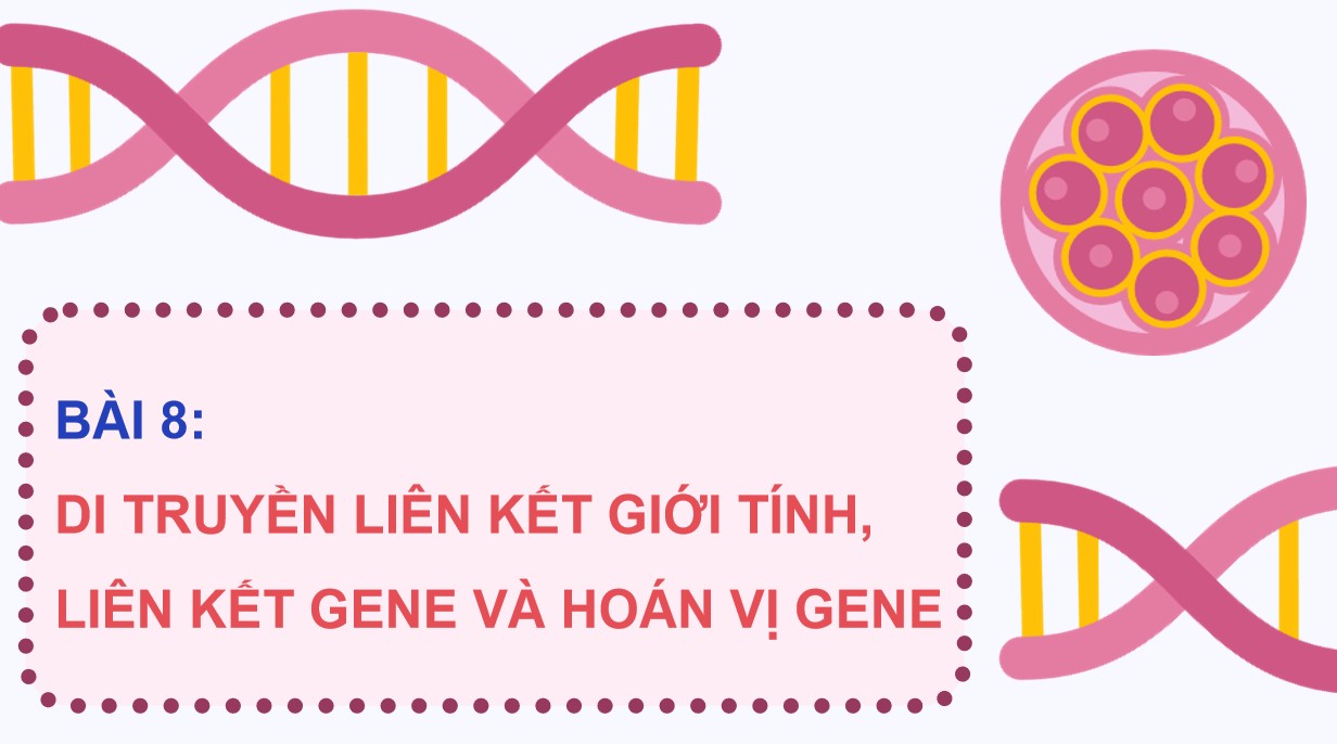 Powerpoint Sinh 12 Cánh Diều Bài 8