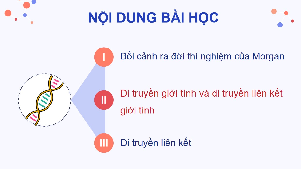 Powerpoint Sinh 12 Cánh Diều Bài 8