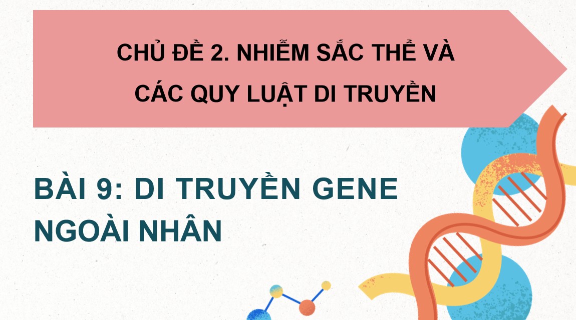 Powerpoint Sinh 12 Cánh Diều Bài 9