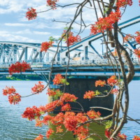 PowerPoint Tiếng Việt 3 Bài 1: Gió sông Hương