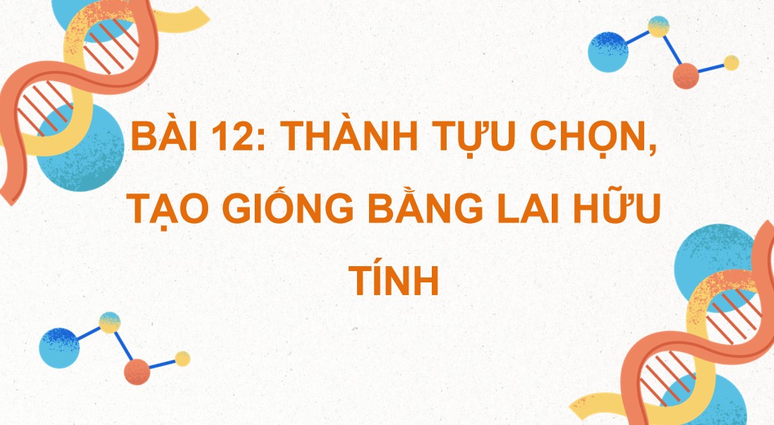 Powerpoint Sinh 12 Cánh Diều Bài 12