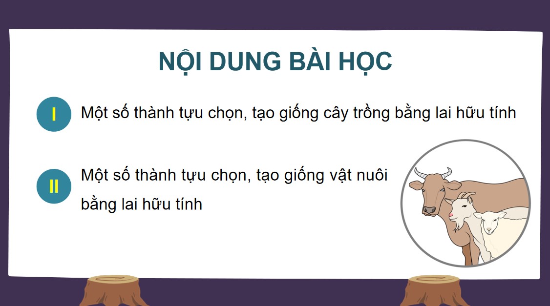 Powerpoint Sinh 12 Cánh Diều Bài 12