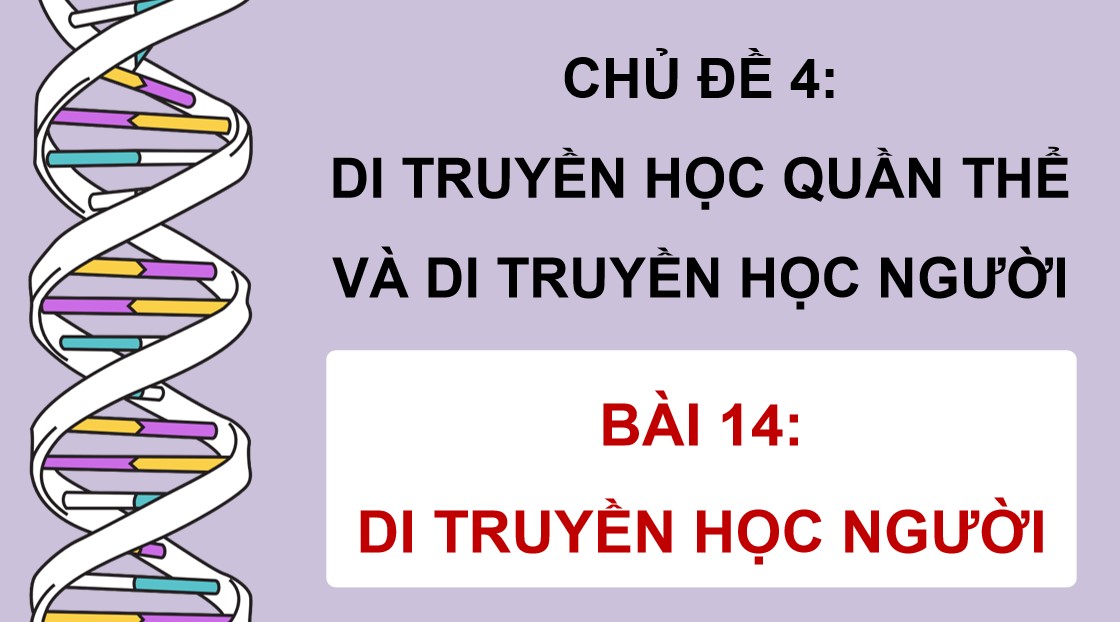 Powerpoint Sinh 12 Cánh Diều Bài 14