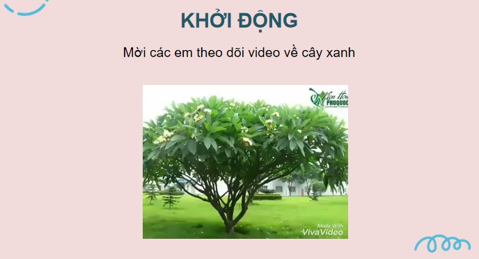 PowerPoint Tiếng Việt 4 Bài viết 2: Luyện tập tả cây cối