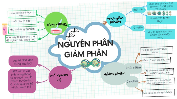 Mẫu sơ đồ tư duy môn Sinh học 9 KNTT