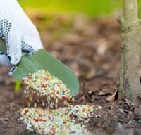 Giáo án Sinh hoạt lớp 2 Em yêu lao động tuần 10