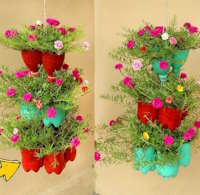 Giáo án Sinh hoạt lớp 2 Chung tay bảo vệ môi trường tuần 29