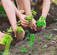 Giáo án Sinh hoạt lớp 2 Em yêu lao động tuần 9