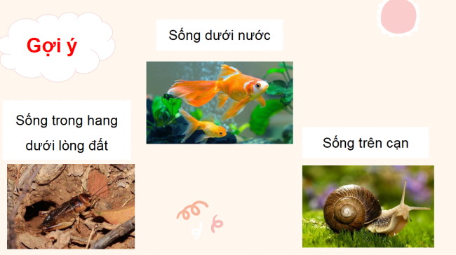 PowerPoint Tiếng Việt 3 Bài 3: Chuyện xây nhà